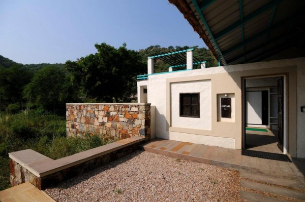 Trees N Tiger Sariska